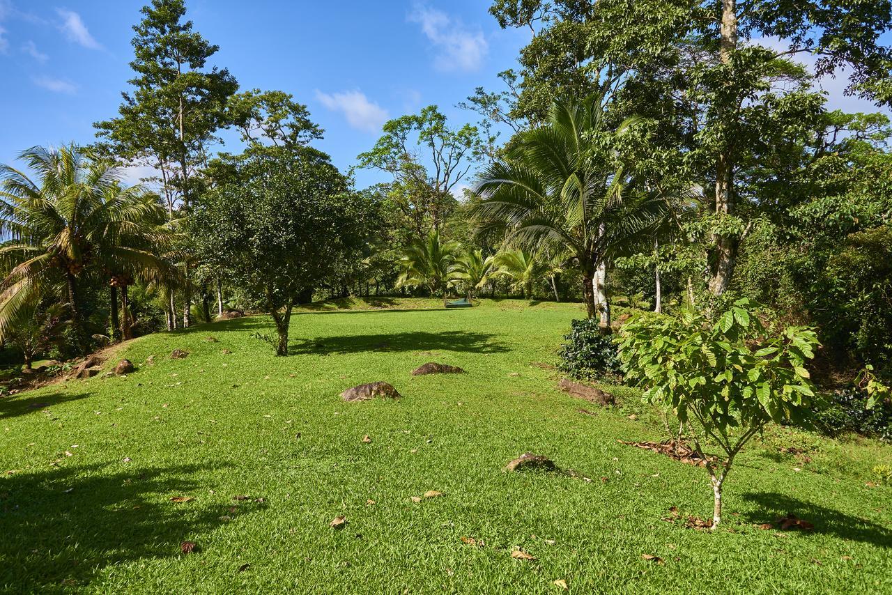 Finca Experimental Cata Chocolate Hotel Bijagua Exterior foto