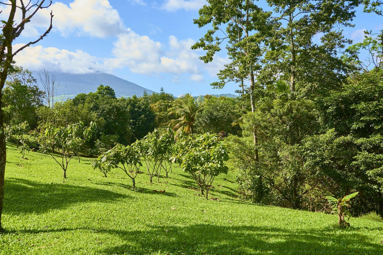 Finca Experimental Cata Chocolate Hotel Bijagua Exterior foto